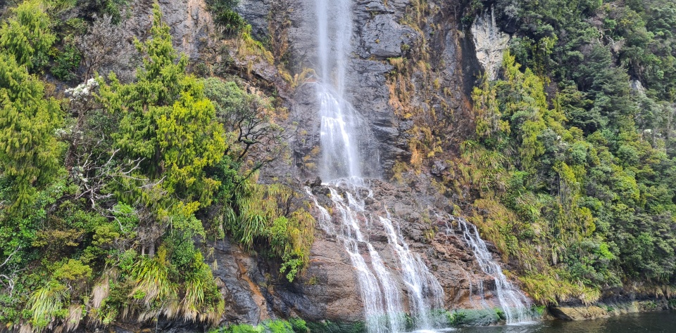Fiordland's high rainfall creates powerful waterfalls and fertile forests. Image: LEARNZ.