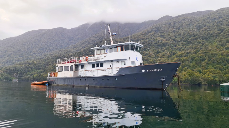 This virtual field trip with Pure Salt involves a multi-day voyage on board the MV Flightless vessel. Image: LEARNZ.