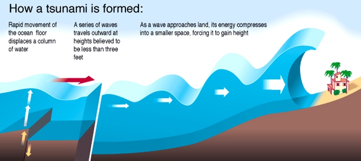 how tsunamis form