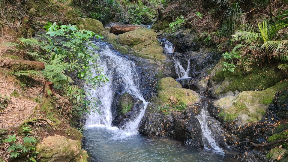 Many streams flow off the ranges. They provide habitat for native fish. Image: LEARNZ.