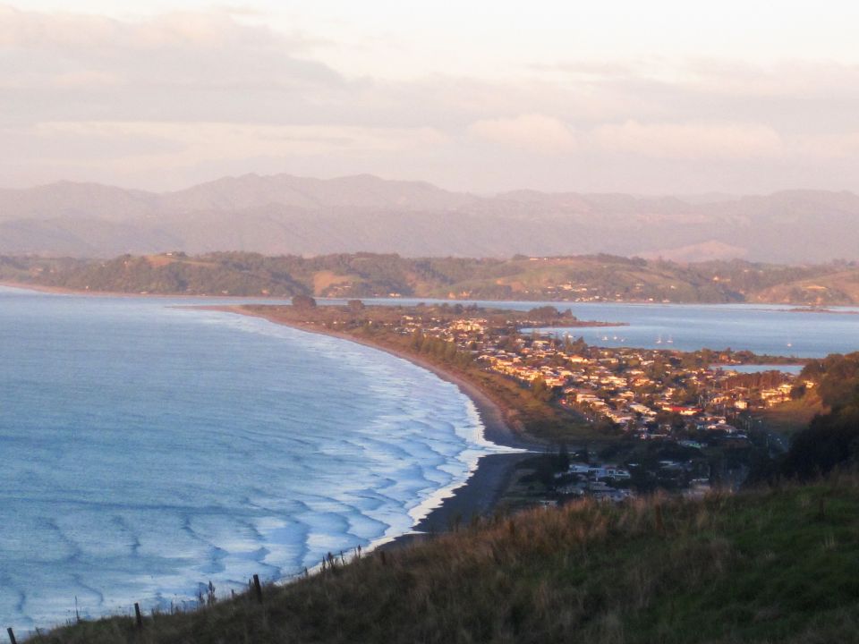 Ōhiwa Harbour supports a variety of plants and animals. Image: LEARNZ.