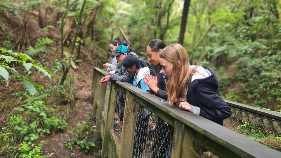 Taking part in outdoor activities such as hiking can boost your hauora. Image: LEARNZ.