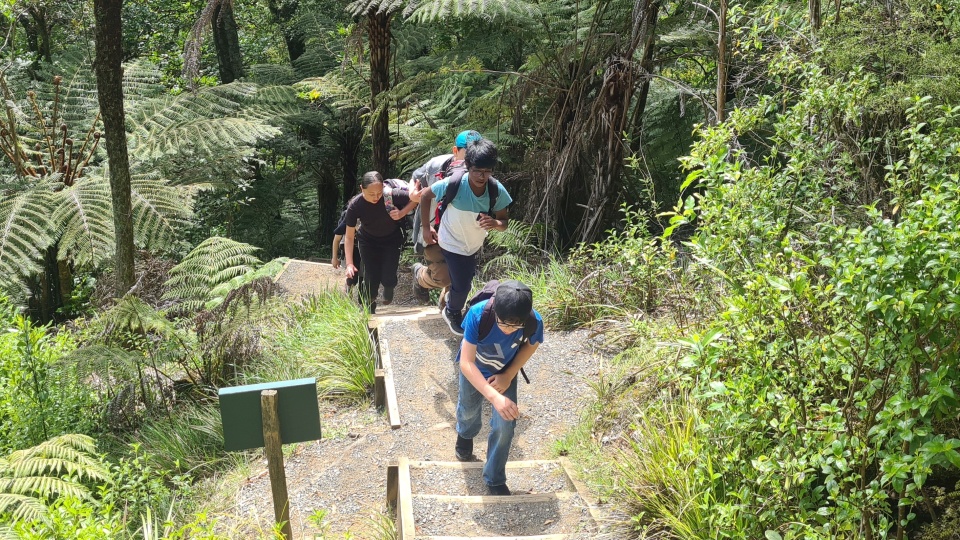 A hīkoi in the outdoors is one of many types of exercise that can improve physical wellbeing. Image: LEARNZ.