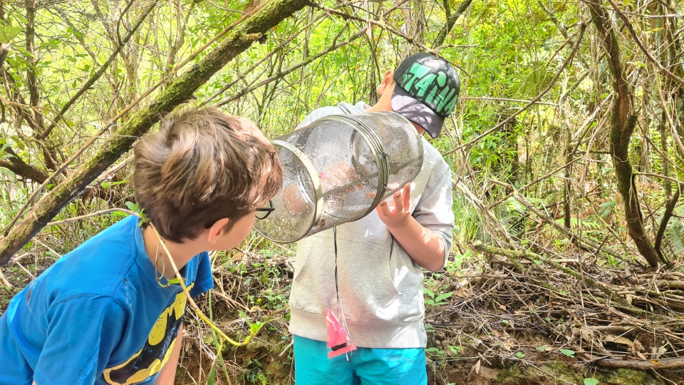 Learning in the outdoors helps us understand the connections between all living things, including people, and their physical environment. Image: LEARNZ.