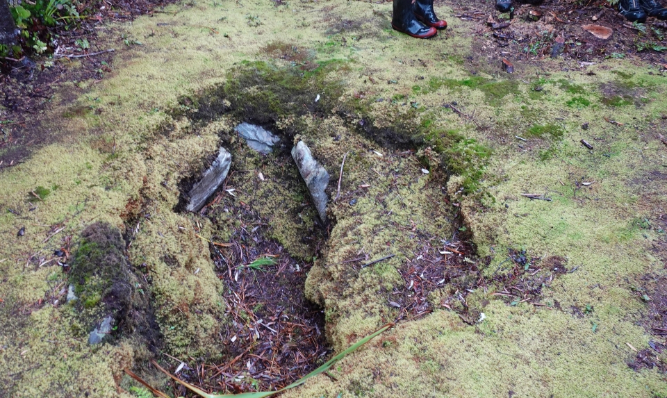 Old earth oven middens and food storage pits can be seen throughout Fiordland. Image: LEARNZ.