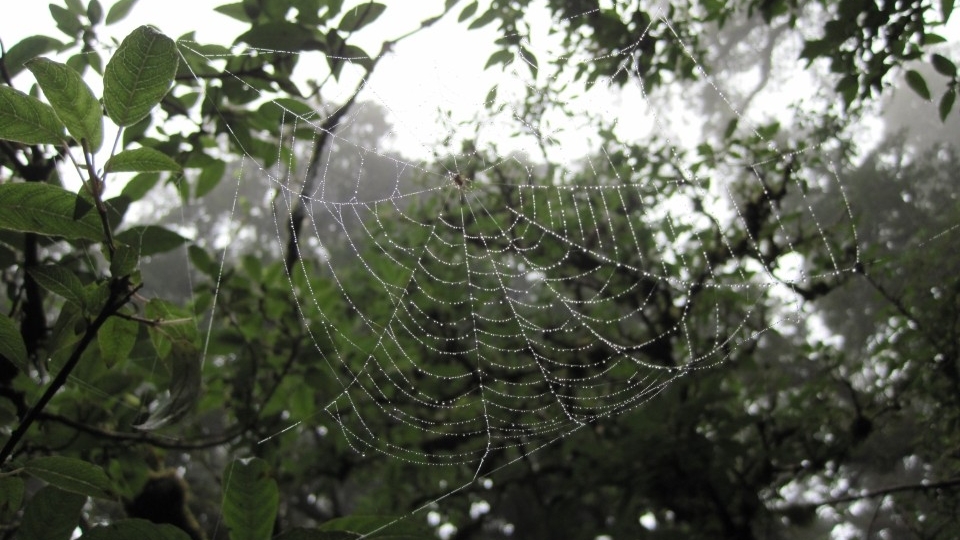 When we leave natural objects and artefacts as we find them, we pass the gift of discovery on to those who follow. Image: LEARNZ.