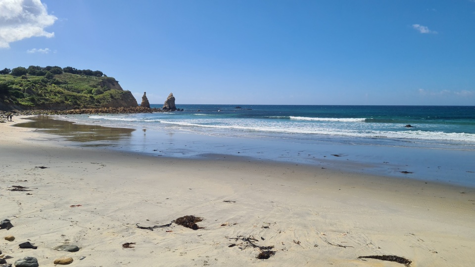 Whakawai-pakake, or Back Beach in Karitāne, means enticing seals. Image: LEARNZ.