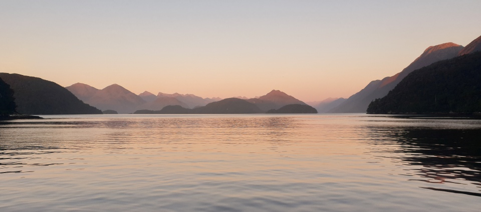 On this field trip we will see how parts of Tamatea Dusky Sound is being restored. Image: LEARNZ.