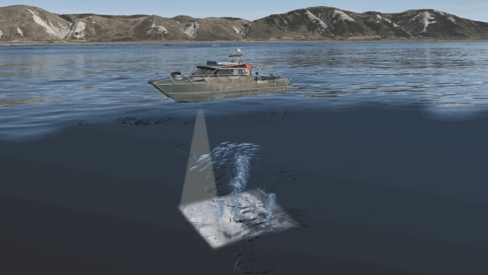 Sonar uses sound waves, which bounce off objects to show what is under the water and how far away it is. Image: Toitū Te Whenua Land Information New Zealand.