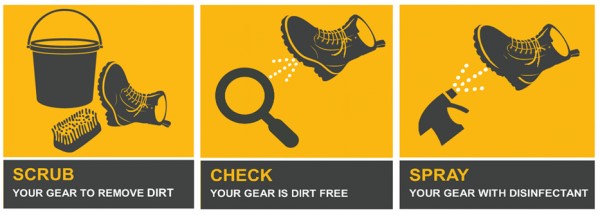 Clean your gear to stop the spread of kauri dieback. Image: DOC.
