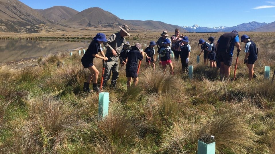 Bringing back native plants has many benefits. Image: LEARNZ.