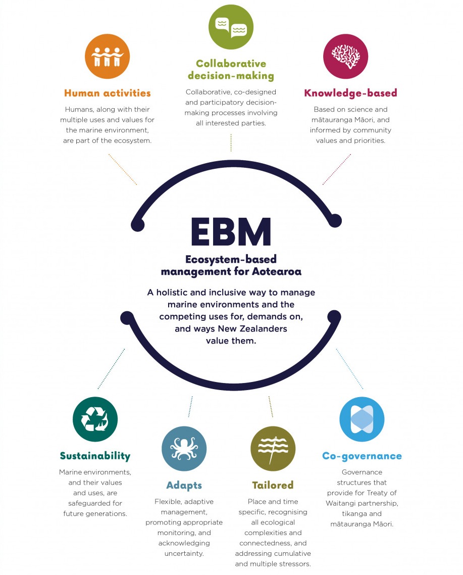 Ecosystem-based management takes into account how different people and organisations use and value marine areas. EBM will manage impacts on entire ecosystems rather than just individual species. Image: Sustainable Seas Challenge.