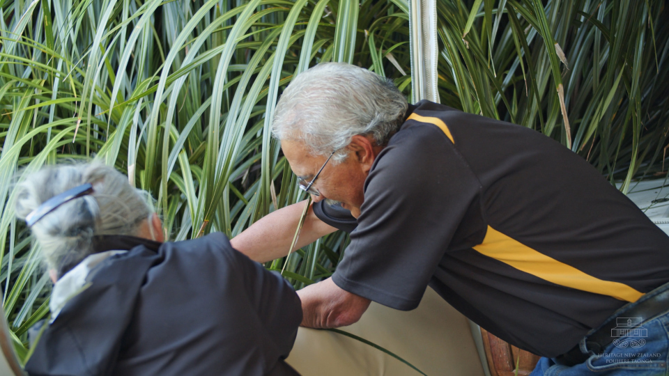 We can experience intangible heritage through things like customs, traditions, stories, crafts, sports, music, and dance. Pictured: Kiekie harvest for marae conservation. Credit: HNZPT.