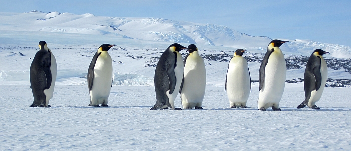 Antarctica - cool science in action