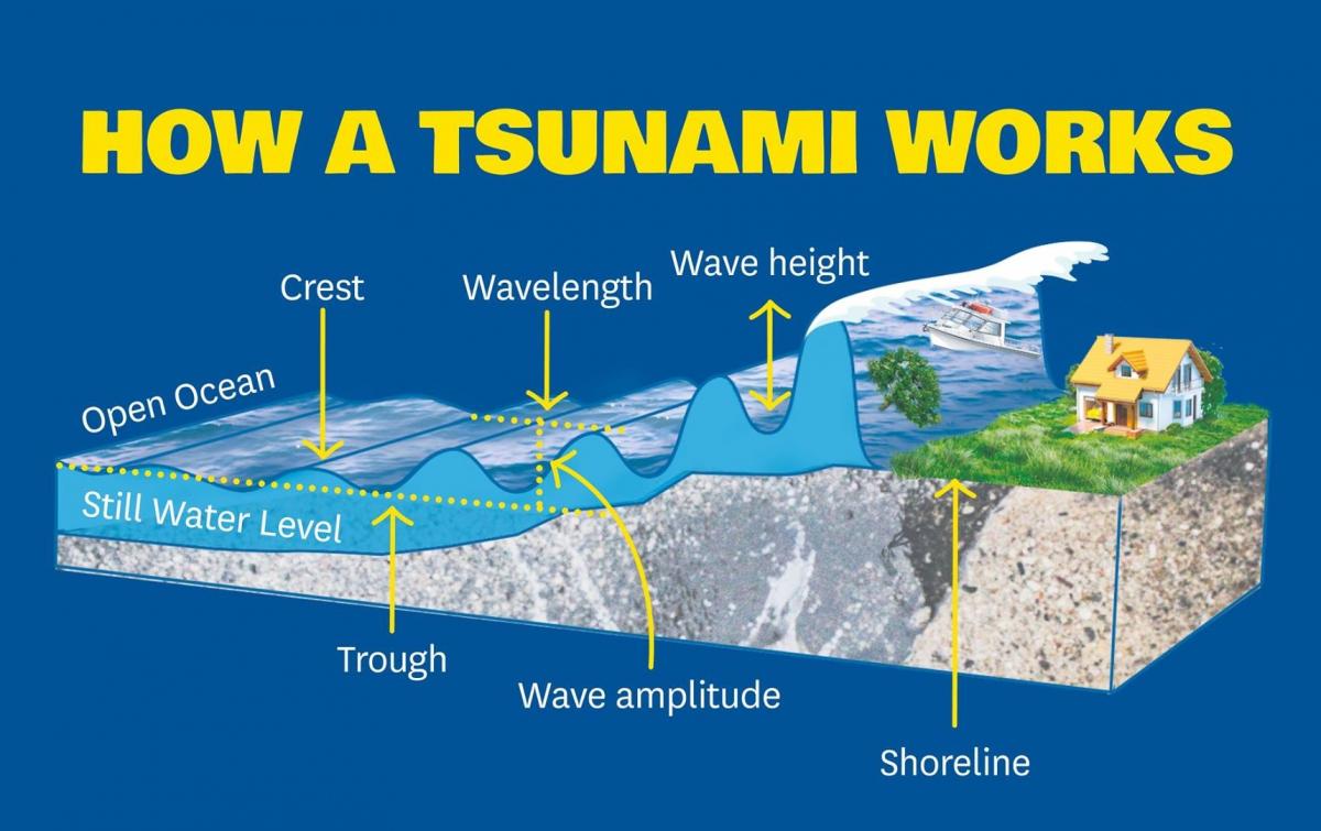 Tsunami | LEARNZ