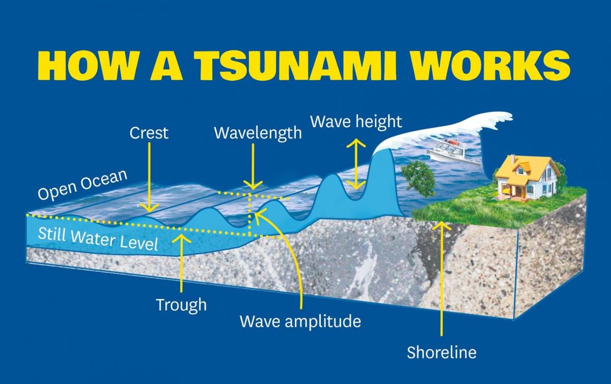 The height of a tsunami wave increases as it approaches the coast and enters shallow water. Image: NEMA.