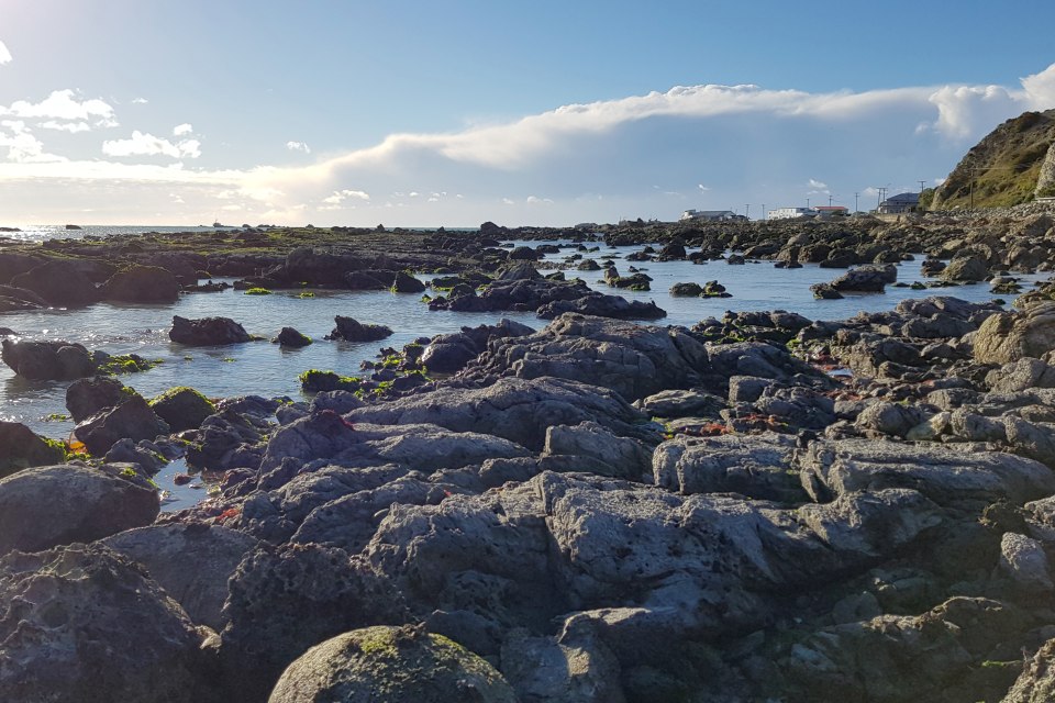 The sea is a taonga for current and future generations to benefit from. Image: LEARNZ.