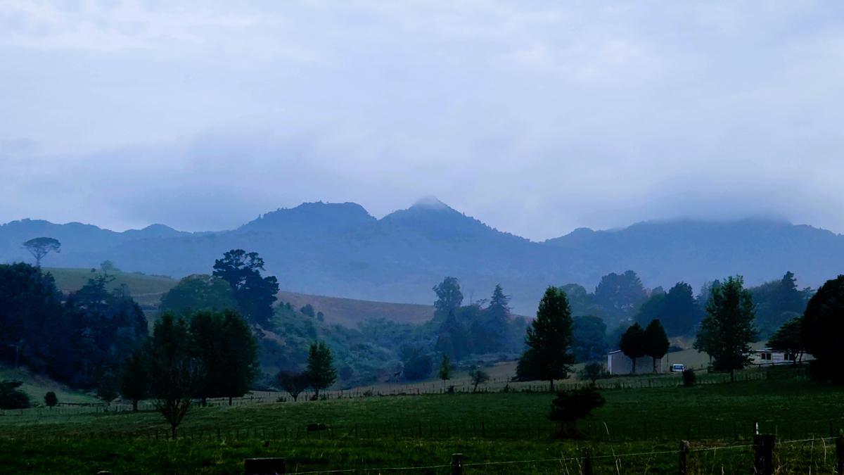 Sanctuary Mountain Maungatautari is the largest fenced eco-sanctuary in Aotearoa New Zealand. Image: LEARNZ.