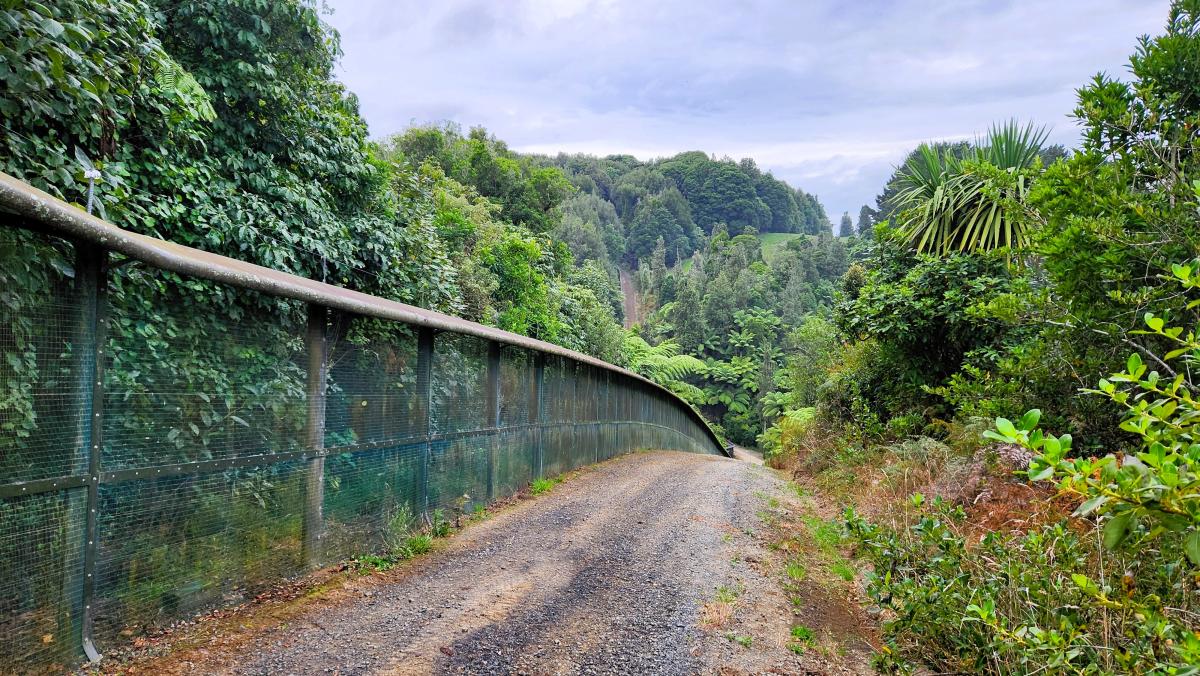 The pest-proof fence has made Sanctuary Mountain Maungatautari a safe haven for some of Aotearoa’s most endangered birds. Image: LEARNZ.