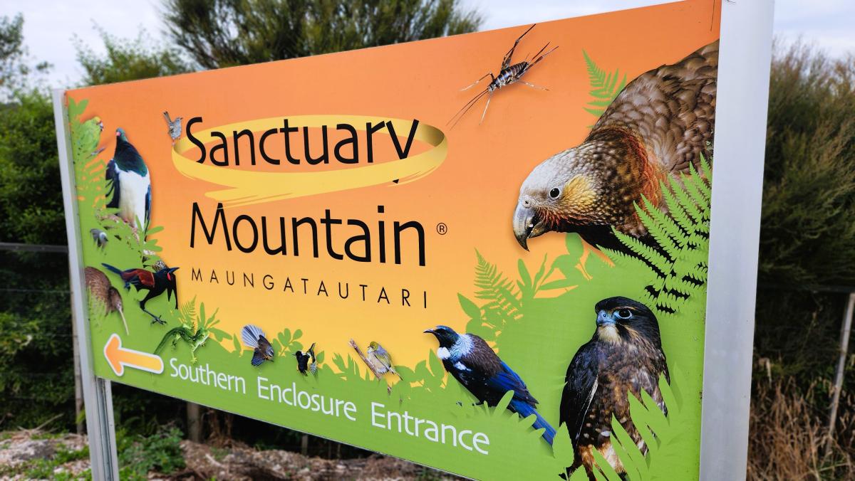 Te Tūī a Tāne, Southern Enclosure, is the largest of the three enclosures and has a tall viewing tower and classroom space within the forest. Image: LEARNZ.