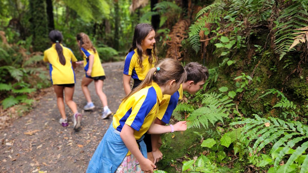 Sanctuary Mountain Maungatautari also has an education programme. Image: LEARNZ.