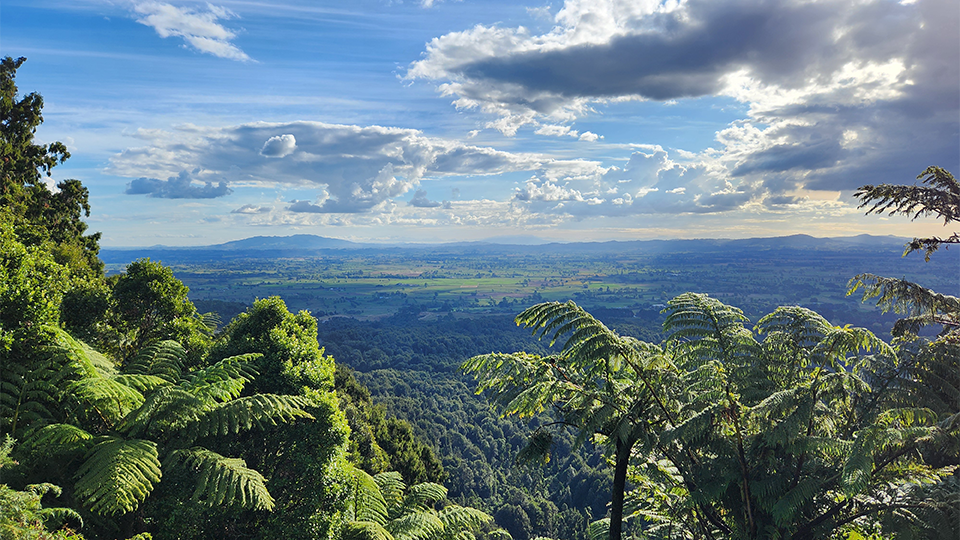 The scent of Raukawa: a love story that shaped an iwi