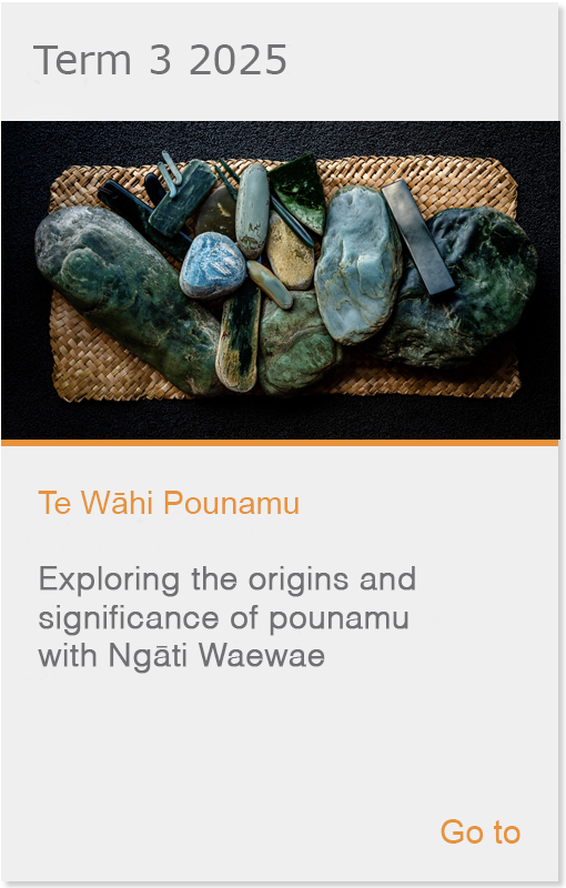 Te Wāhi Pounamu virtual field trip