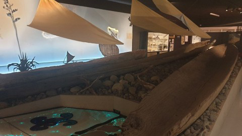 Inside Marlborough Museum. Image: LEARNZ.