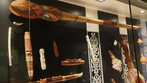 A display at Nelson Provincial Museum. Image: LEARNZ.