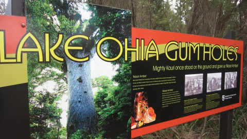Sign at Lake Ōhia wetland, Northland. Image: LEARNZ.