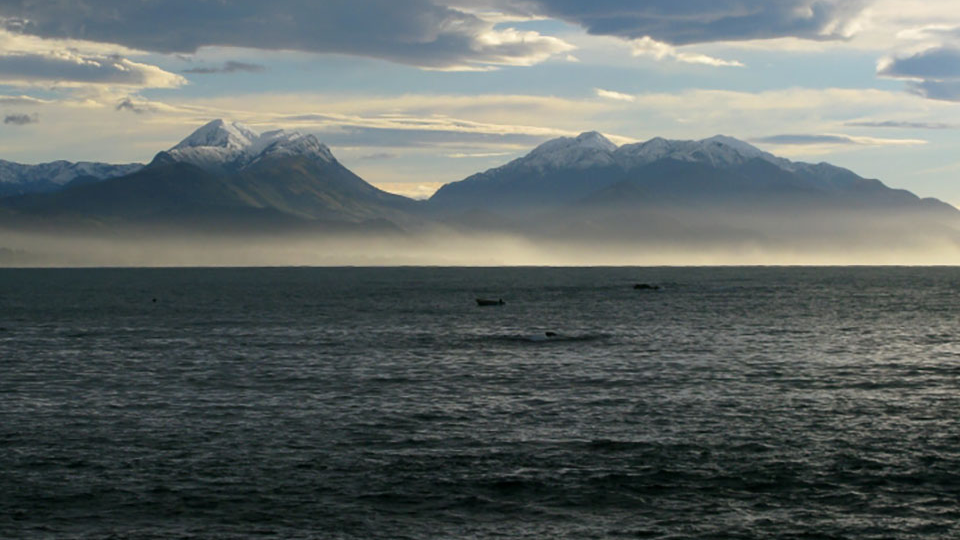Aotearoa New Zealand is an island nation surrounded by the sea.