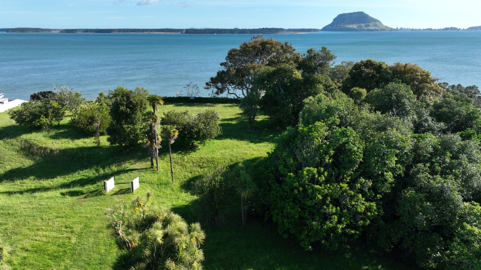 Protecting archaeological sites means keeping our history alive for future generations. Image: LEARNZ.