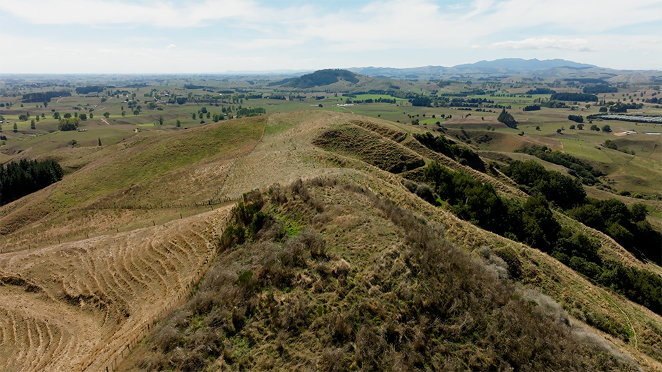 A view from atop the pā in Rangiātea. Imagine what the surrounding landscape was like when Raukawa grew up here. Image: LEARNZ.