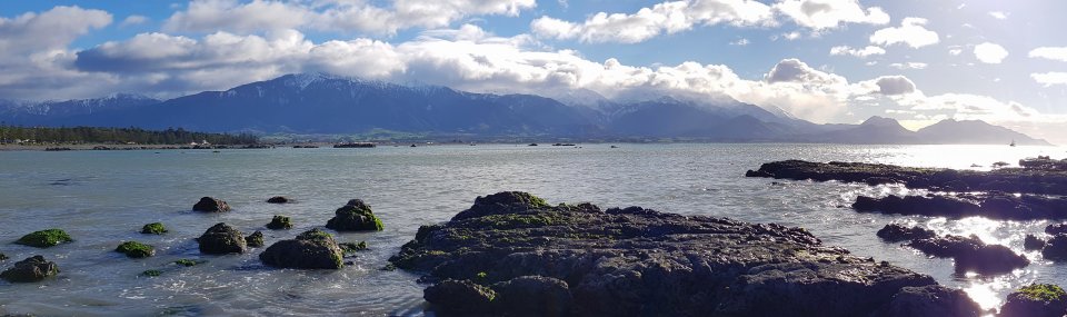 Aotearoa marine ecosystems