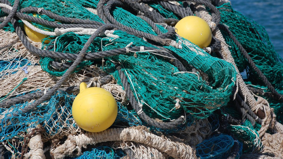 Fishing nets