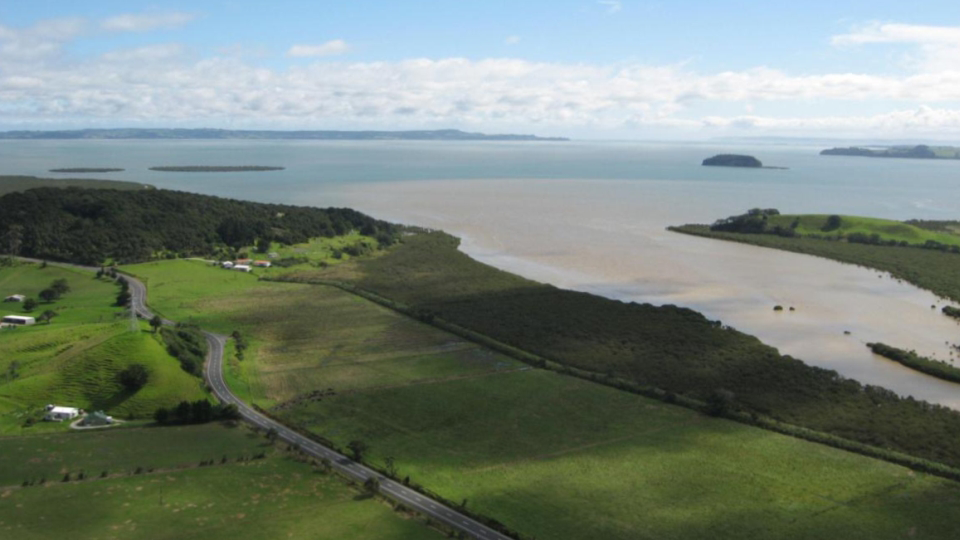 Sedimentation covering the ocean floor