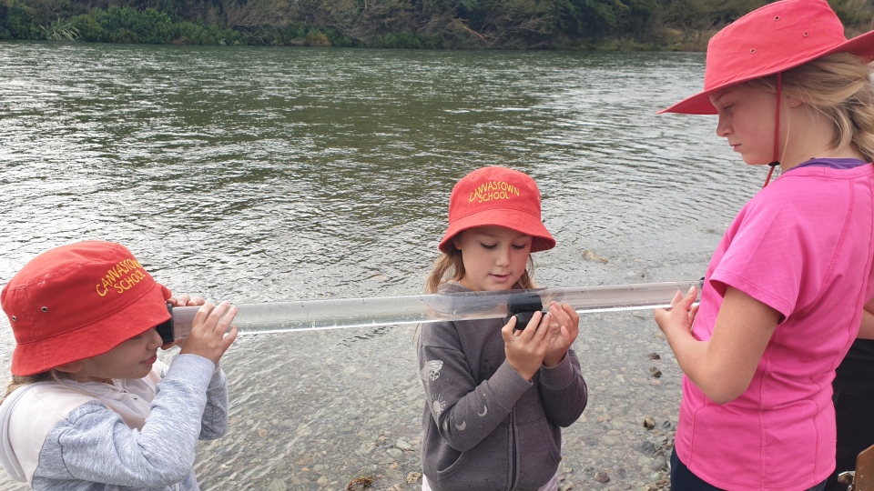 Ākonga from Canvastown School in Marlborough test water clarity in their local awa. Image: LEARNZ.