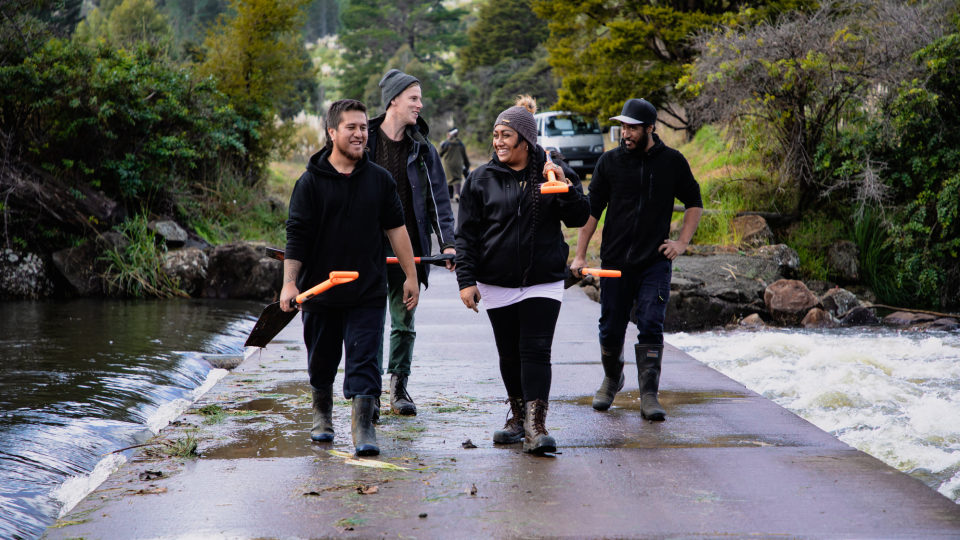 There are often people from a variety of backgrounds involved in an awa restoration project. Image: Te Toa Whenua.