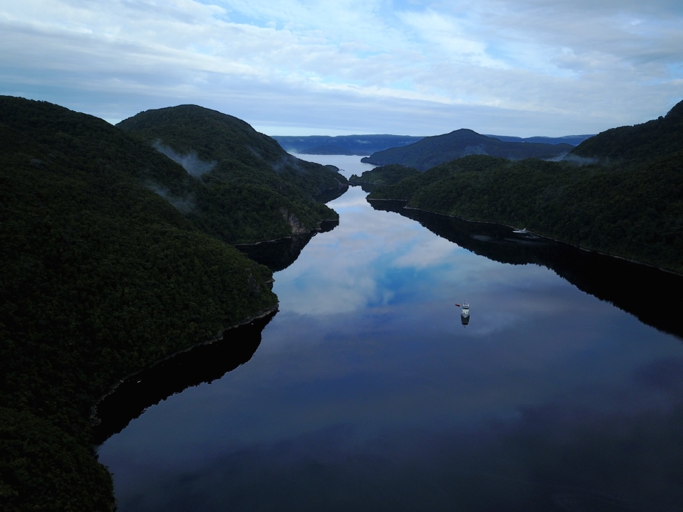 DOC, volunteers and businesses like Pure Salt are working together to restore Tamatea. Image: Pure Salt.