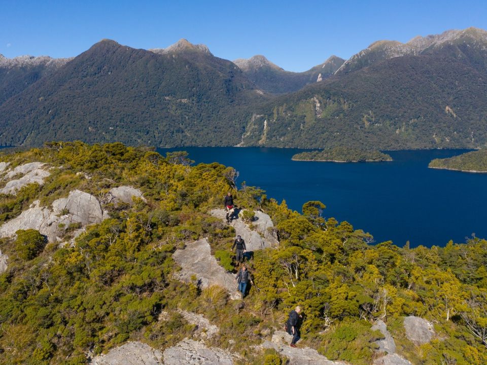 Creating pest free island sanctuaries gives native species a safe place to live and creates a 'bio bank'. Image: Pure Salt.