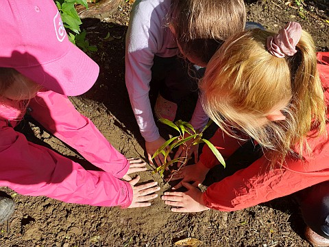 River restoration share your ideas.