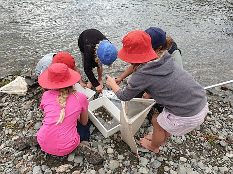 River restoration field trip videos.