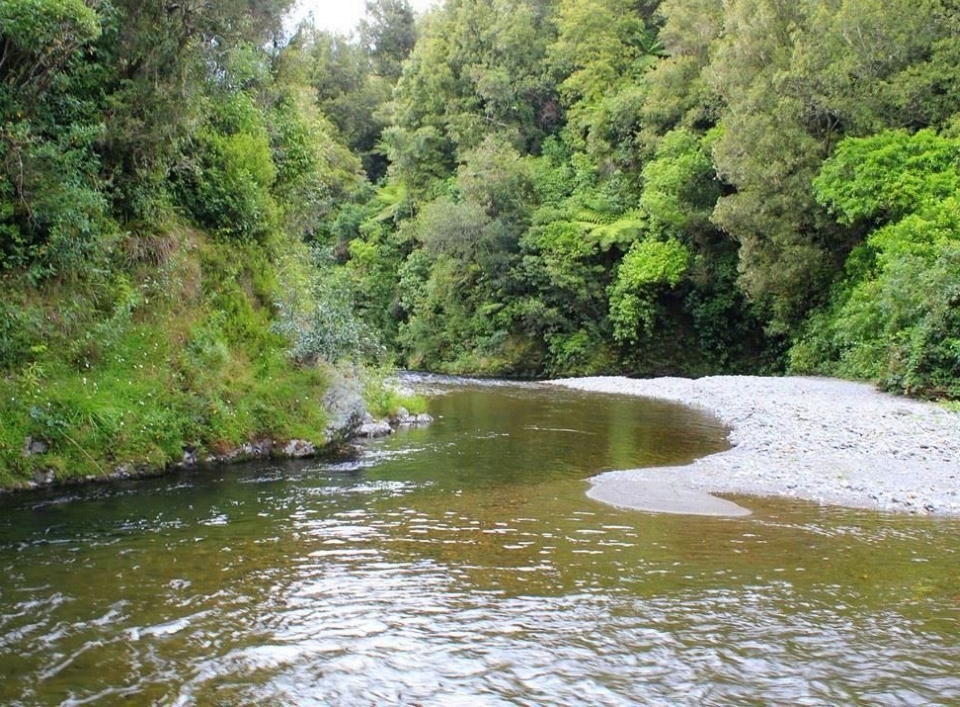 Waikanae River flows from the western foothills of the Tararua Ranges out to the coast north of Wellington. Image: DOC.