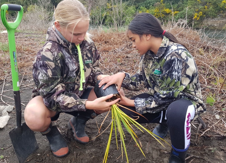 Planting alongside a river can help restore water quality and provide habitat. Image: LEARNZ.