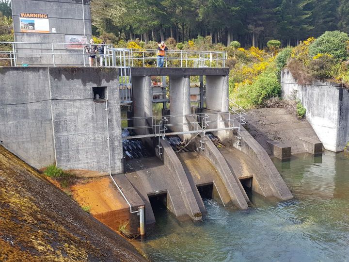 Dams change the course and volume of water in rivers affecting organisms that live in and around the river. Image: LEARNZ.