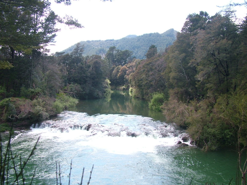 Rivers and estuaries were an excellent place to gather natural resources and traditional food. Image: Peter Hamill