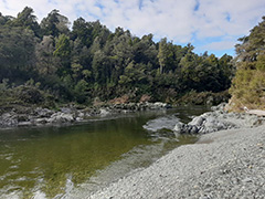 Awa of Aotearoa.