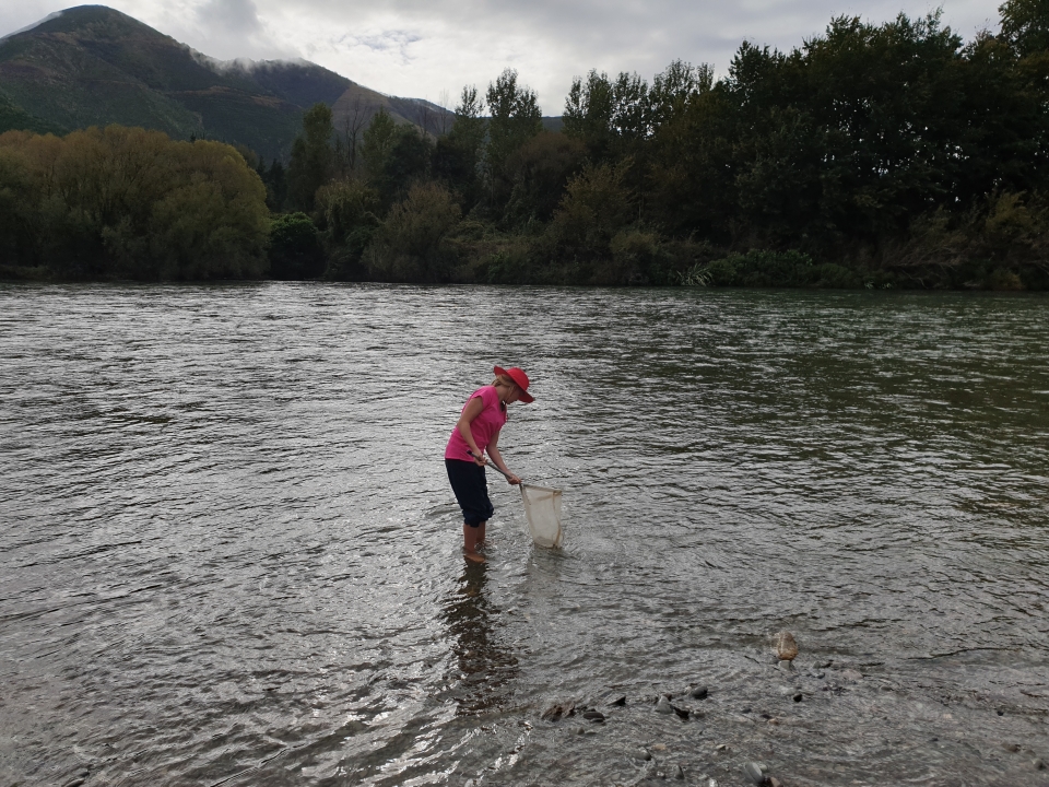 A net can be used to catch aquatic invertebrates. Image: LEARNZ.