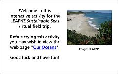 Our Ocean activity