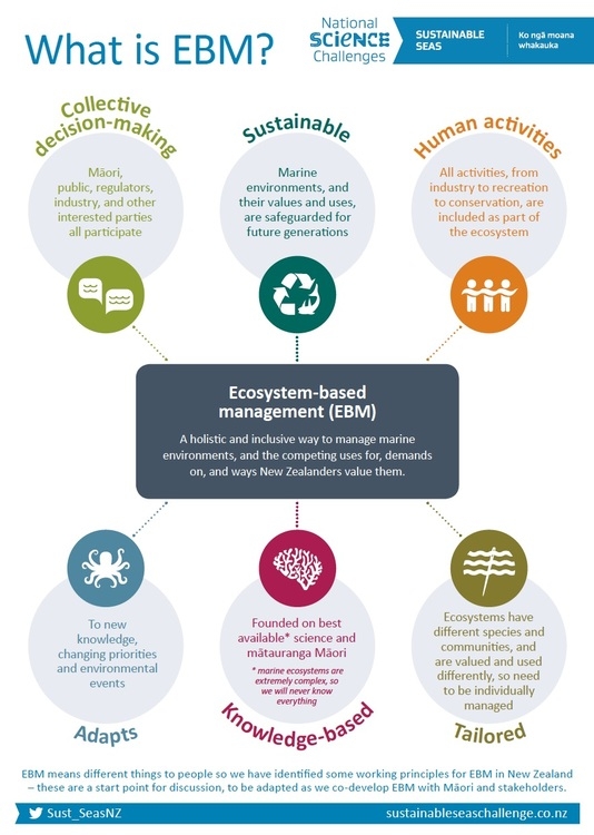 Ecosystem-based management takes into account how different people and organisations use and value marine areas. EBM will manage impacts on entire ecosystems rather than just individual species. Image: Sustainable Seas Challenge.